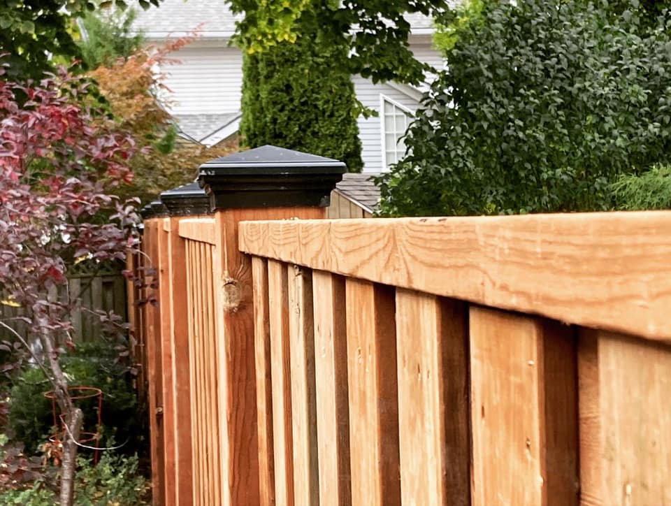 Fences